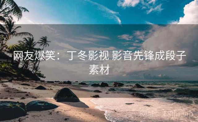 网友爆笑：丁冬影视 影音先锋成段子素材