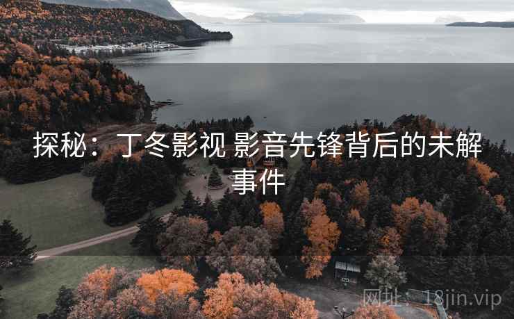 探秘:丁冬影视 影音先锋背后的未解事件 探秘:丁冬影视 影音先锋背后的未解事件